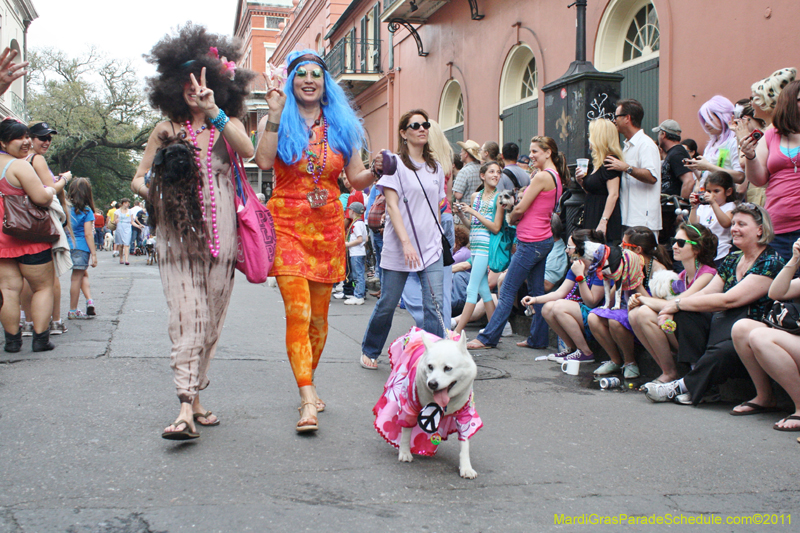 Mystic-Krewe-of-Barkus-JR-2011-0272