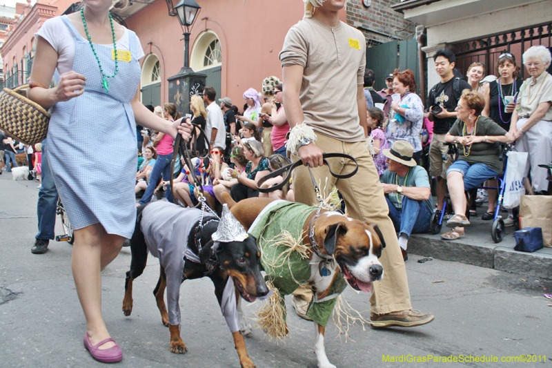 Mystic-Krewe-of-Barkus-JR-2011-0274