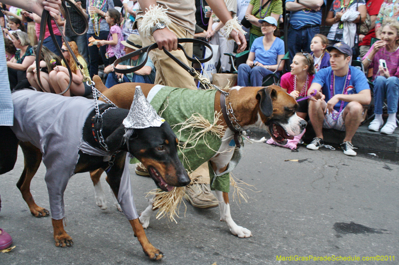 Mystic-Krewe-of-Barkus-JR-2011-0275