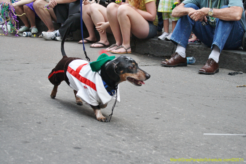 Mystic-Krewe-of-Barkus-JR-2011-0276