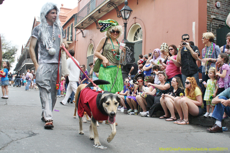 Mystic-Krewe-of-Barkus-JR-2011-0278