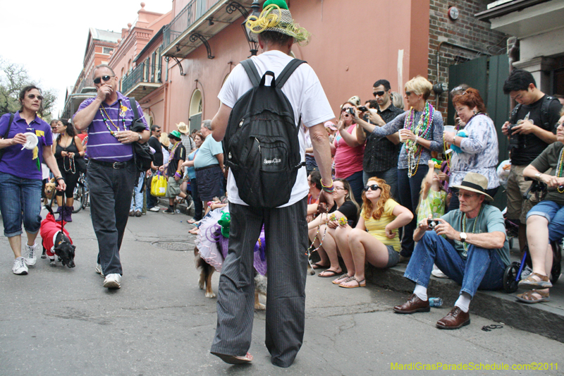 Mystic-Krewe-of-Barkus-JR-2011-0288