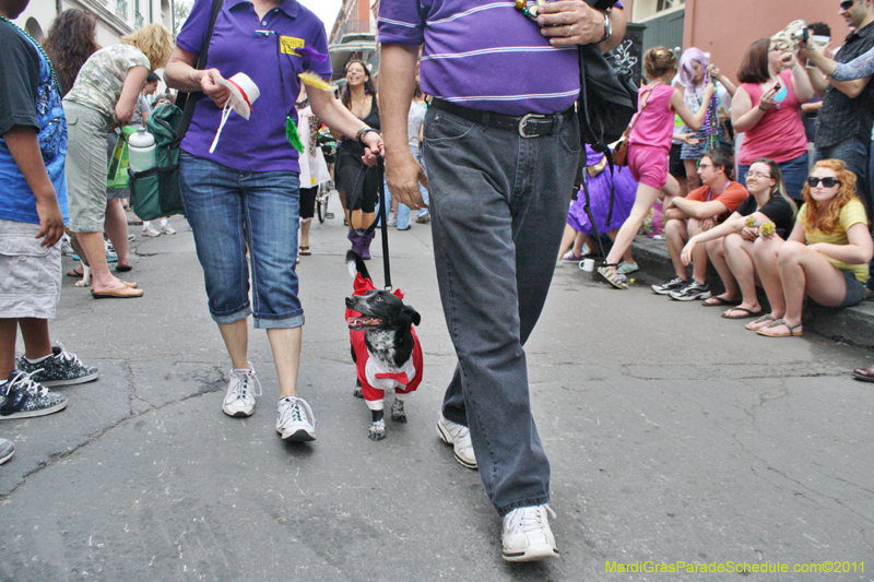 Mystic-Krewe-of-Barkus-JR-2011-0290