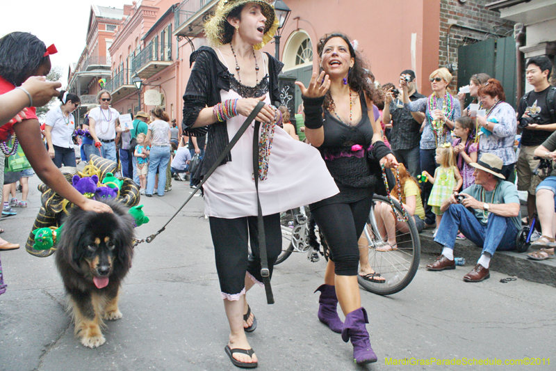 Mystic-Krewe-of-Barkus-JR-2011-0291