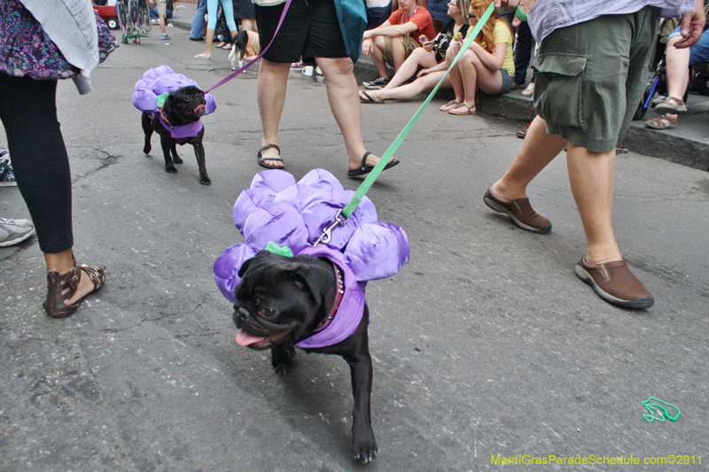 Mystic-Krewe-of-Barkus-JR-2011-0296