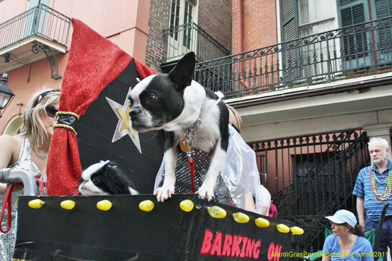 Mystic-Krewe-of-Barkus-JR-2011-0299