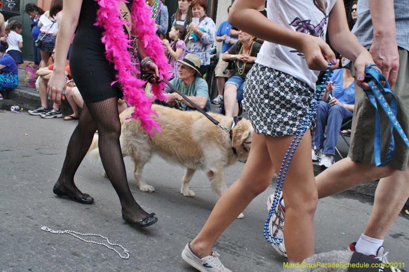 Mystic-Krewe-of-Barkus-JR-2011-0305