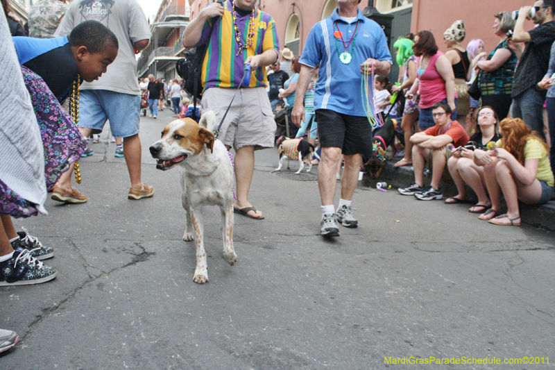 Mystic-Krewe-of-Barkus-JR-2011-0307