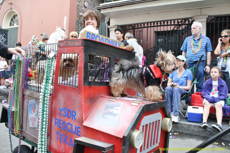 Mystic-Krewe-of-Barkus-JR-2011-0309