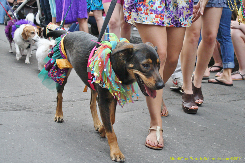 Mystic-Krewe-of-Barkus-JR-2011-0313