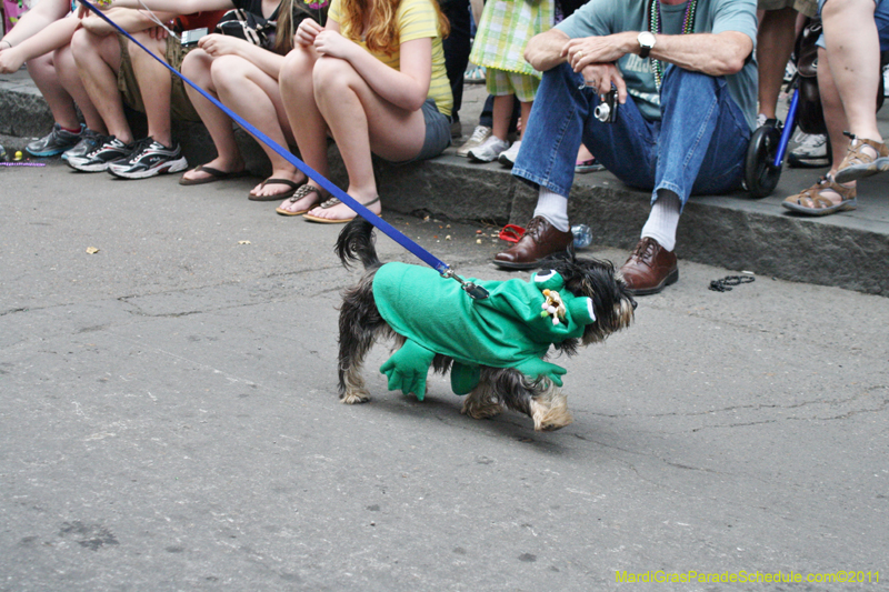 Mystic-Krewe-of-Barkus-JR-2011-0321