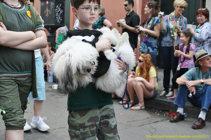 Mystic-Krewe-of-Barkus-JR-2011-0329