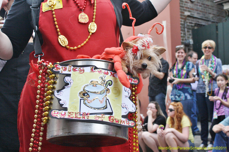 Mystic-Krewe-of-Barkus-JR-2011-0333