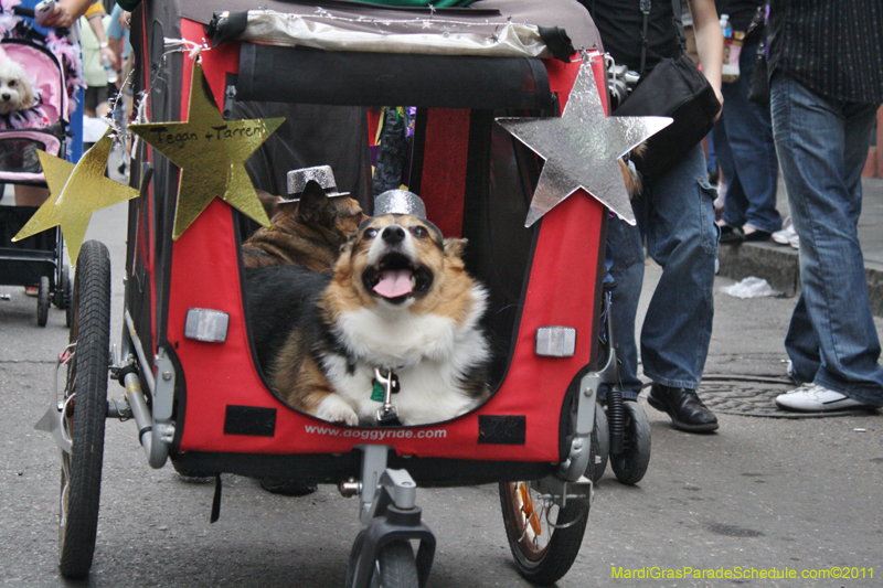 Mystic-Krewe-of-Barkus-JR-2011-0338