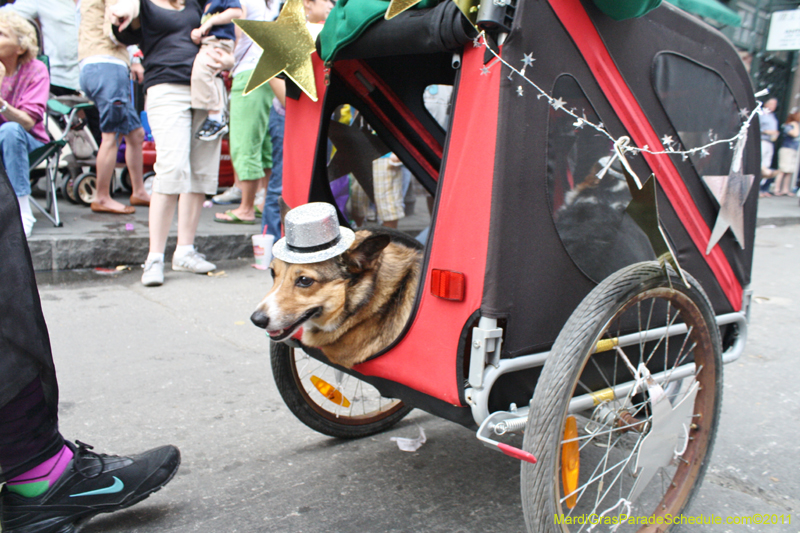 Mystic-Krewe-of-Barkus-JR-2011-0339