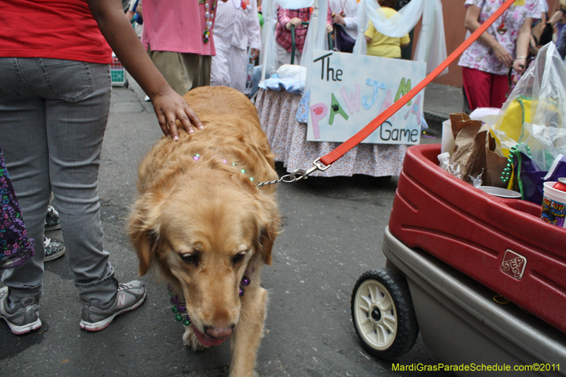 Mystic-Krewe-of-Barkus-JR-2011-0344