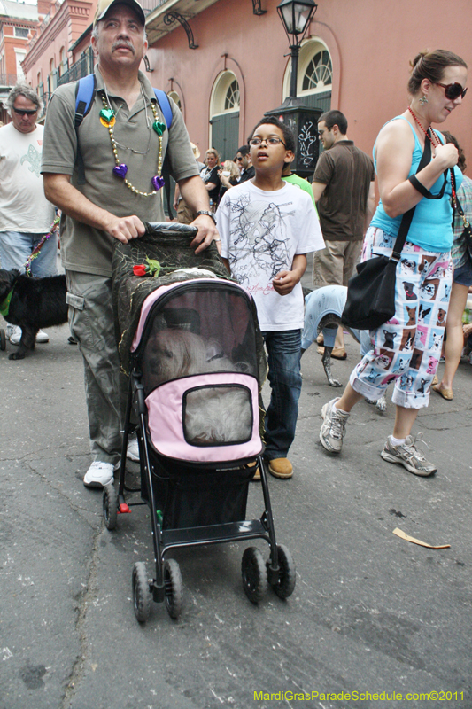 Mystic-Krewe-of-Barkus-JR-2011-0347