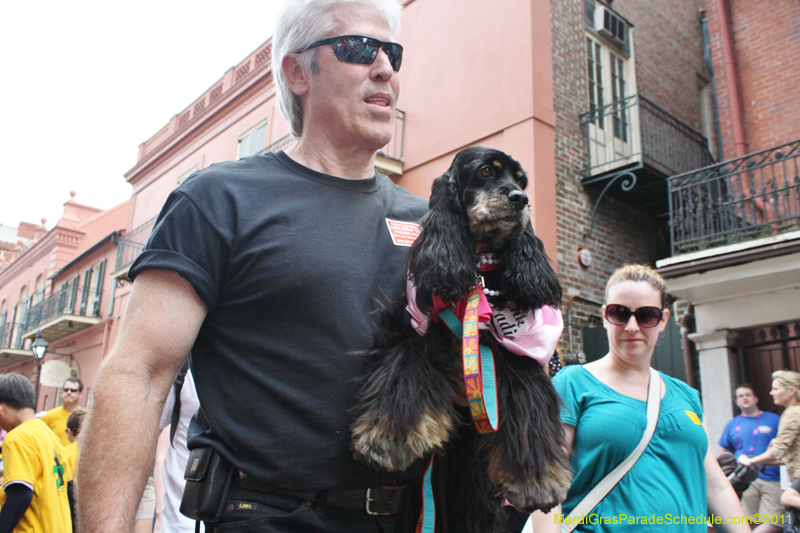 Mystic-Krewe-of-Barkus-JR-2011-0350