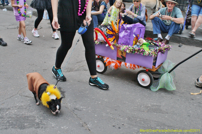 Mystic-Krewe-of-Barkus-JR-2011-0367