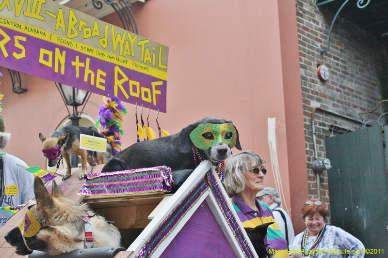 Mystic-Krewe-of-Barkus-JR-2011-0371