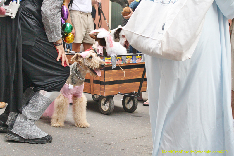 Mystic-Krewe-of-Barkus-JR-2011-0375