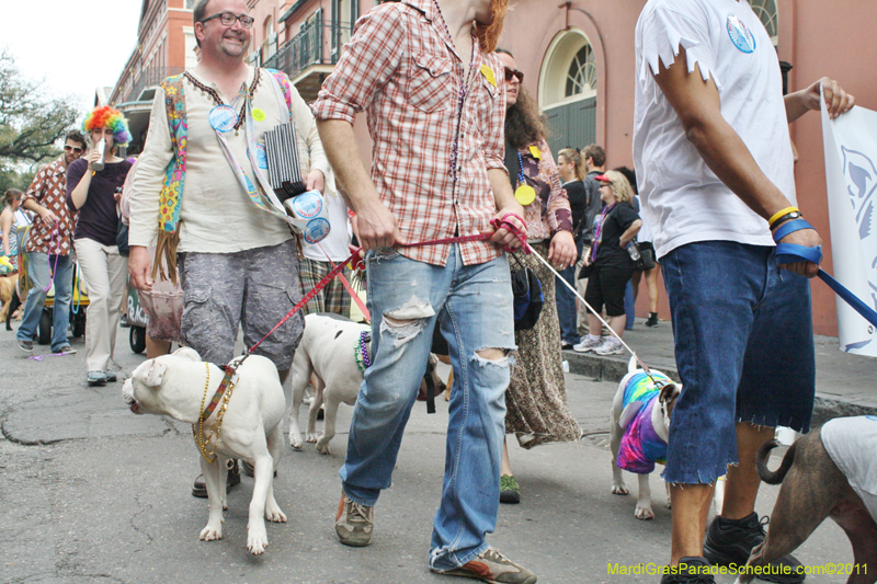 Mystic-Krewe-of-Barkus-JR-2011-0378