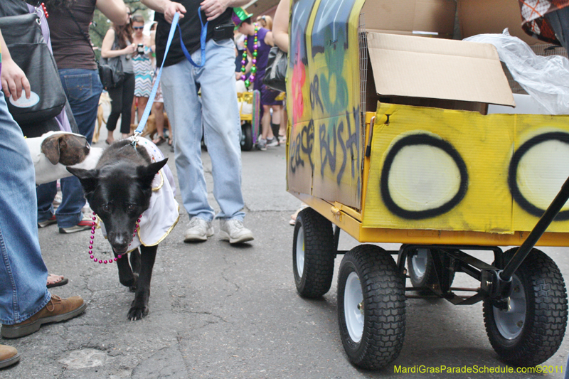 Mystic-Krewe-of-Barkus-JR-2011-0381