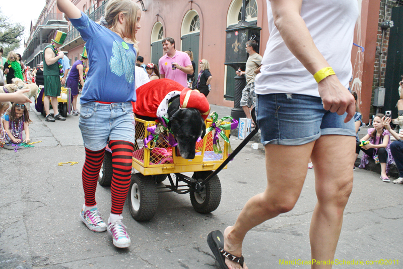 Mystic-Krewe-of-Barkus-JR-2011-0382