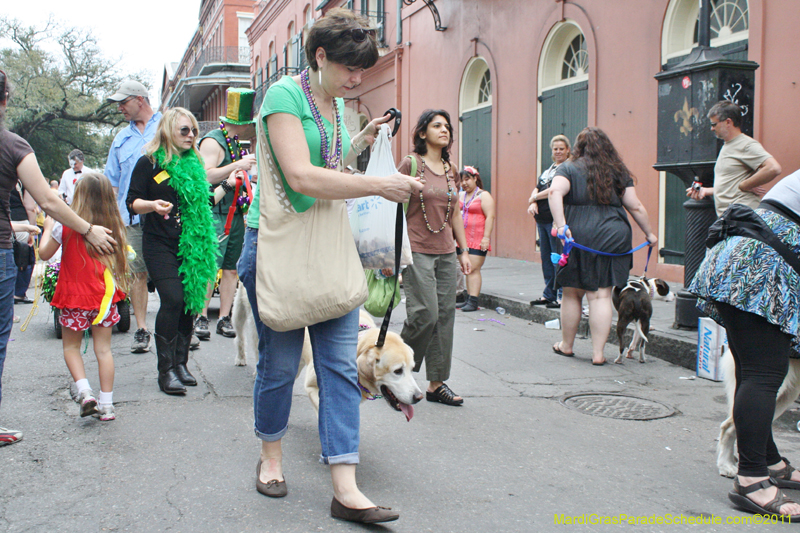 Mystic-Krewe-of-Barkus-JR-2011-0384