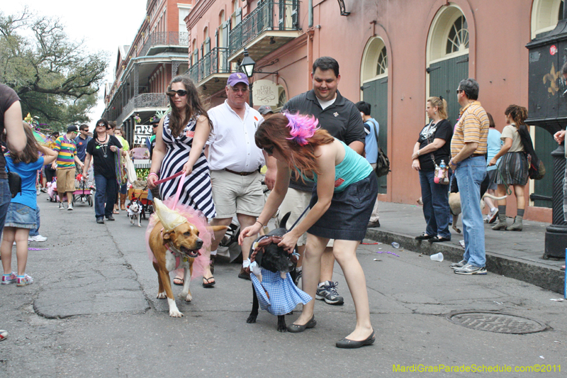 Mystic-Krewe-of-Barkus-JR-2011-0390