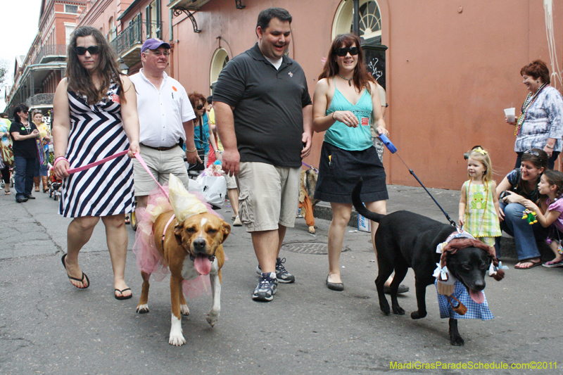 Mystic-Krewe-of-Barkus-JR-2011-0391