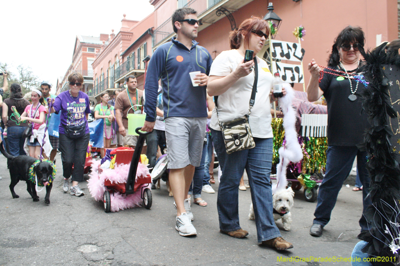 Mystic-Krewe-of-Barkus-JR-2011-0395