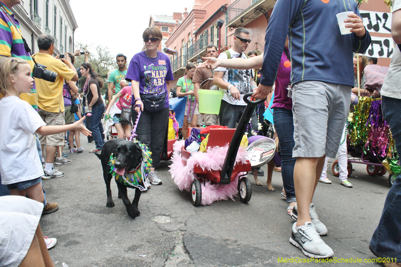 Mystic-Krewe-of-Barkus-JR-2011-0396