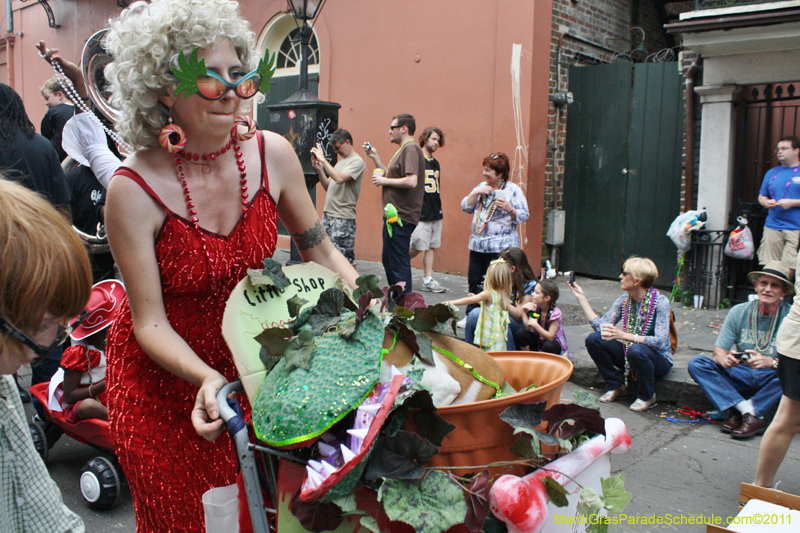 Mystic-Krewe-of-Barkus-JR-2011-0397