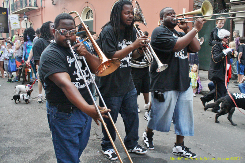 Mystic-Krewe-of-Barkus-JR-2011-0402