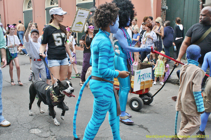 Mystic-Krewe-of-Barkus-JR-2011-0405