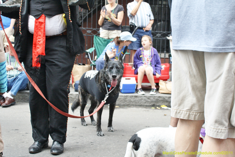 Mystic-Krewe-of-Barkus-JR-2011-0408