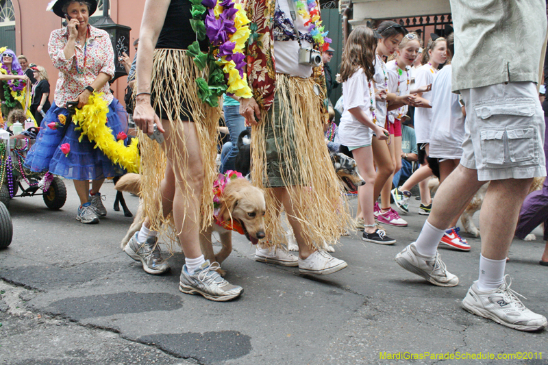 Mystic-Krewe-of-Barkus-JR-2011-0410