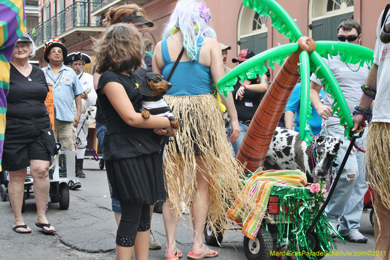 Mystic-Krewe-of-Barkus-JR-2011-0412