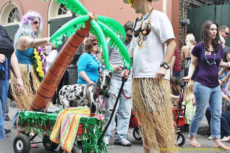 Mystic-Krewe-of-Barkus-JR-2011-0413