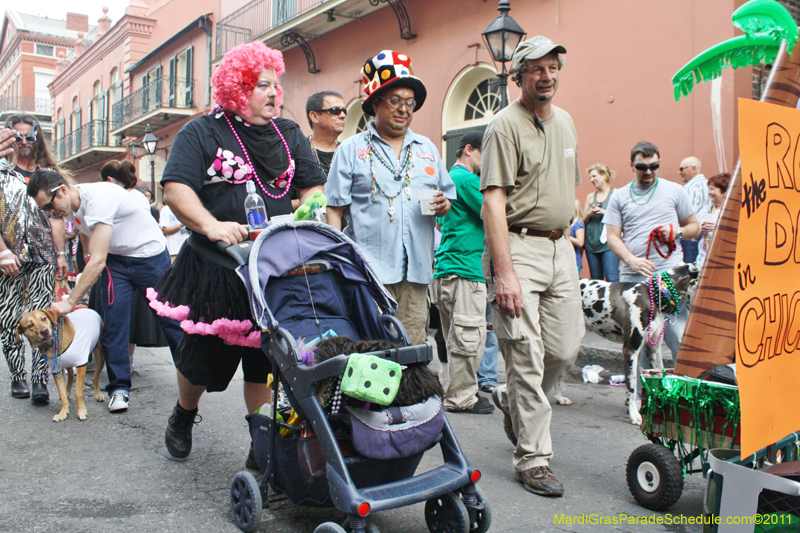 Mystic-Krewe-of-Barkus-JR-2011-0414