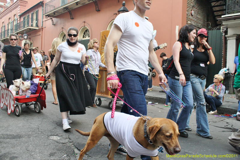 Mystic-Krewe-of-Barkus-JR-2011-0415