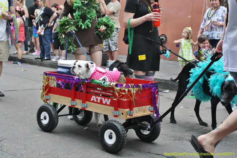 Mystic-Krewe-of-Barkus-JR-2011-0422