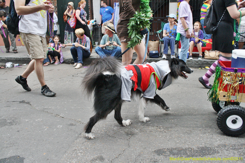 Mystic-Krewe-of-Barkus-JR-2011-0423