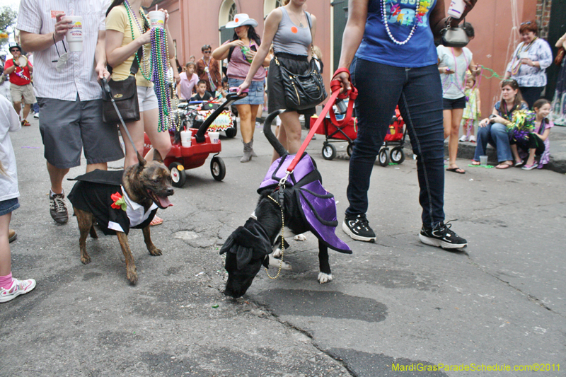 Mystic-Krewe-of-Barkus-JR-2011-0424