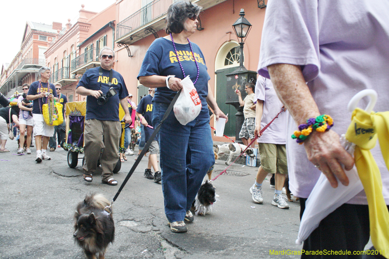 Mystic-Krewe-of-Barkus-JR-2011-0430