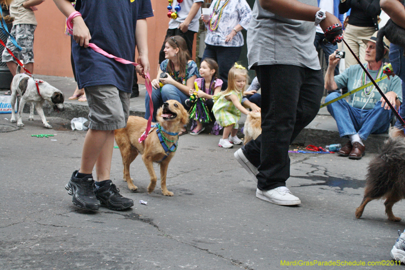 Mystic-Krewe-of-Barkus-JR-2011-0431