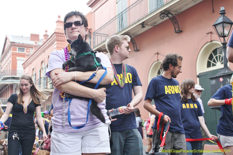 Mystic-Krewe-of-Barkus-JR-2011-0433