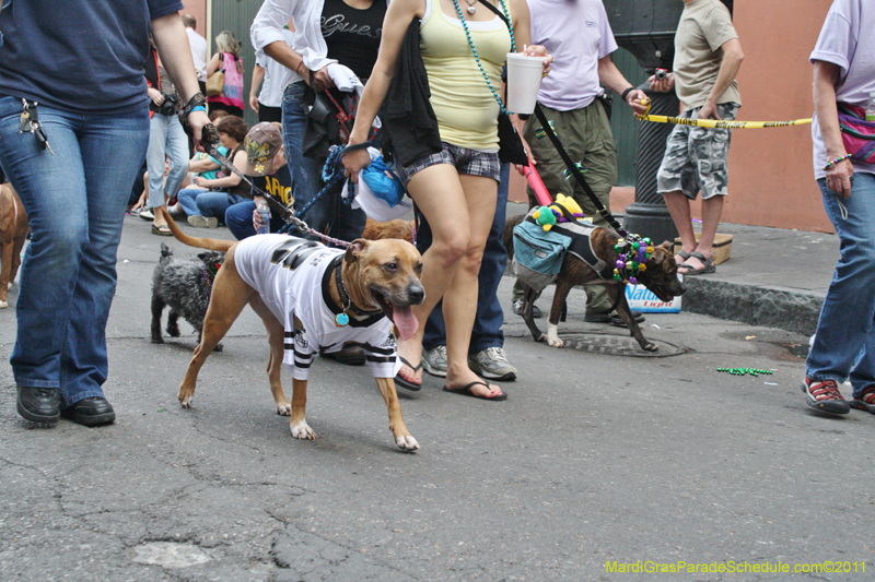 Mystic-Krewe-of-Barkus-JR-2011-0439