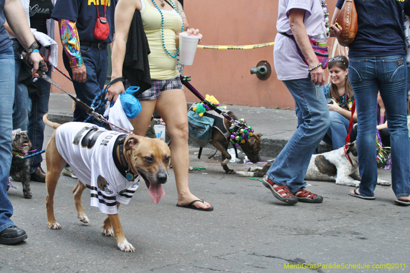 Mystic-Krewe-of-Barkus-JR-2011-0440